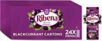 Ribena Ready to Drink Blackcurrant 24x250ml