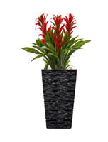 Fixtures Glaze Wave MEDIUM Planter {Black}