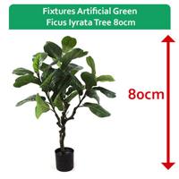 Fixtures Artificial Green Ficus Iyrata Tree 80cm