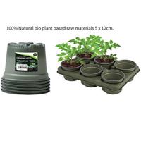 Garland Biodegradable Growing Pots Pack 5, 12cm