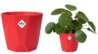 Elho B.For Rock 18cm Display Pot BRILLIANT RED