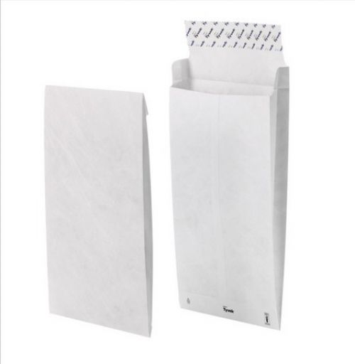 Tyvek Gst Env B5 250x176x38mm P&S Pk100 #510581