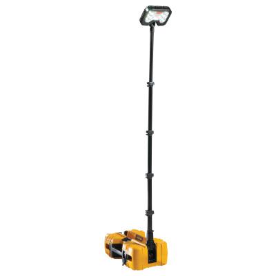 Remote Area Lighting System, 66W, 6,000 lm, Black/Yellow