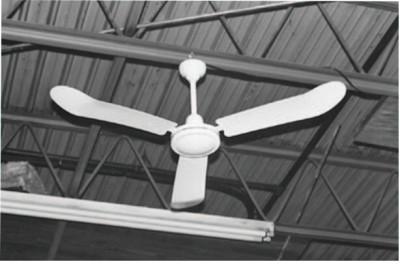 TPI CORP. Industrial Ceiling Fans, Direct Drive Fixed, 56 in, White