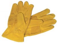 Driving Gloves, Grain Leather, Large, Un