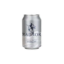 Radnor Sparkling Spring Water 330ml Cans
