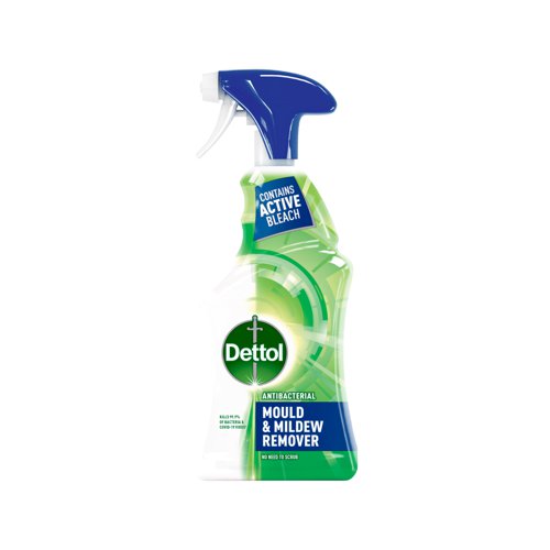 Dettol Antibacterial Mould & Mildew Remover Spray 750ml