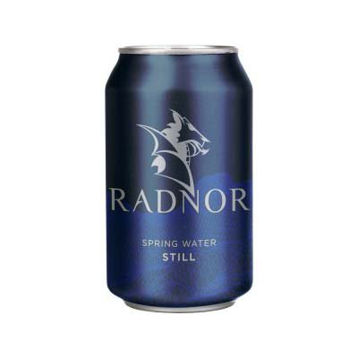 Radnor Still Spring Water 330ml Cans
