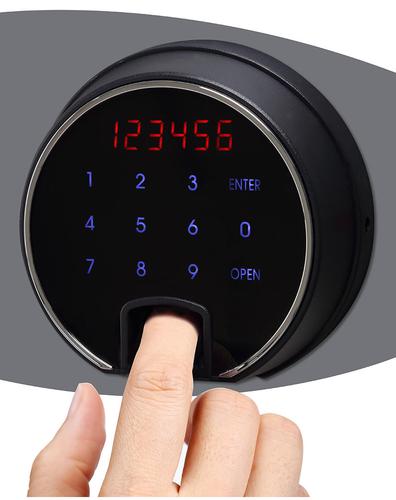 PX0123 Phoenix Data Commander DS4623F Size 3 Data Safe with Fingerprint Lock