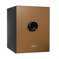 LS6011FG