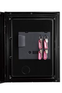 LS6011FS