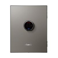 LS6011FS