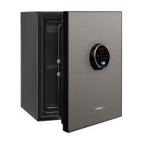 LS6011FS