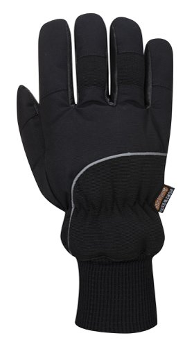 Portwest A751 Apacha Cold Store Glove Black XL