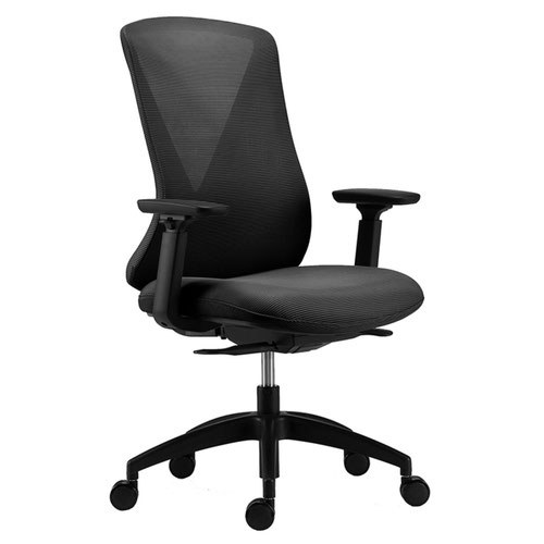 R401 Mesh Chair With Height Adjustable Arms - Black