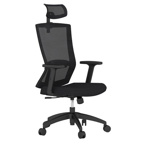 R501 Mesh Chair With Height Adjustable Arms & Head Rest - Black