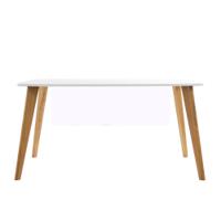Universal Modesty Panel 900x300mm in White