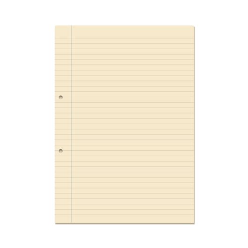 RHINO A4 Punched Exercise Paper 1000 Pages / 500 Leaf 8mm Lined with Margin