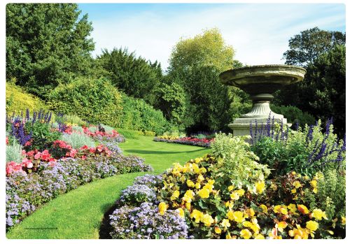 English Garden Print Placemat