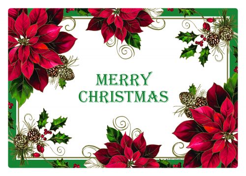 Poinsettia Printed Placemats