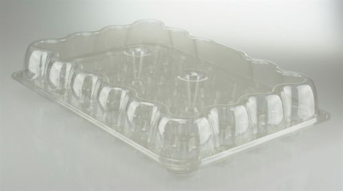 Hinged Lid Cupcake Container