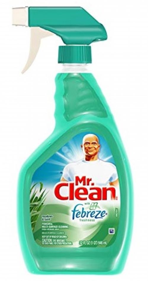 Mr. Clean Multi-Purpose Cleaner