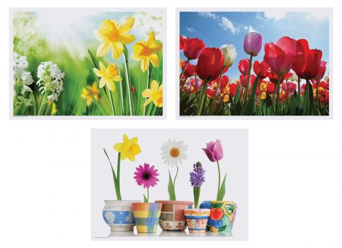 Spring Multipack Placemats