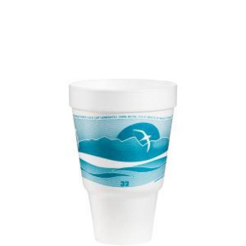 Horizon Foam Cup 32 oz White With Teal Print