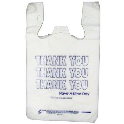 Barnes Paper 12x7x20 Blue Thank You Bag Pack 900