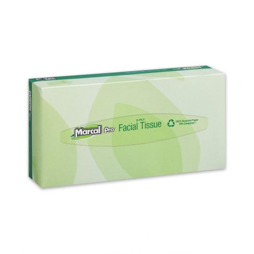 2-Ply Facial Tissue, Flat Box, White (100 Per Box, 30 Boxes)