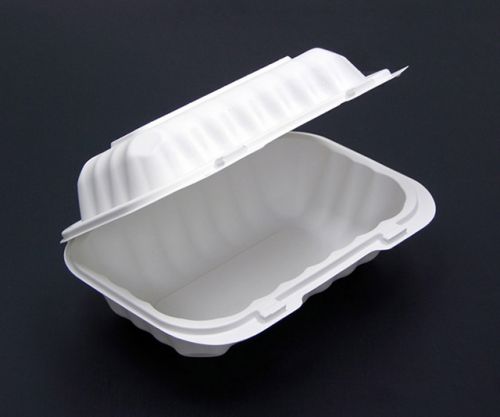 9''x6''x3'' 1-Compt Hinged Lid Container MFPP