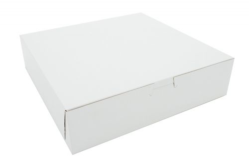 Southern 10x10x2.5 Box White Pack 250