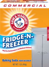 Arm & Hammer Fridge & Freezer Pack 12/16oz