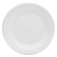 Foam Non-Laminated Plate White 10 1/4''