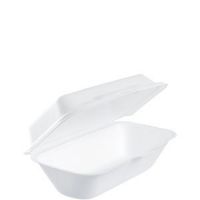 Foam Hinged Containers With Removeable Lid 9 3/4'' x 5 1/4'' x 3 1/4''