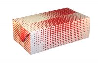 SQP 9x 5x 3 Take out Carton Fast Top Red Plaid Dinner Pack 250