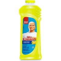 All Purpose Cleaner 24 oz Summer Citrus Antibacterial