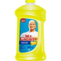 All Purpose Cleaner 40 oz Summer Citrus Antibacterial