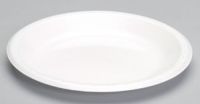 Laminated Foam Plate 10.25'', White, 125/Pack