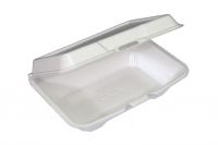 9.25''x6.5''x2.75'' Foam Hinged Container