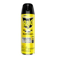 RAID Multi Insect Killer Aerosol 15 oz Pack 12 / cs