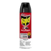 RAID Ant & Roach Aerosol - Fragrance Free 17.5 oz Pack 12 / cs