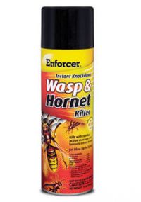 Enforcer Wasp & Hornet Killer Instant Knockdown 20 oz Aerosol Pack 12 / cs