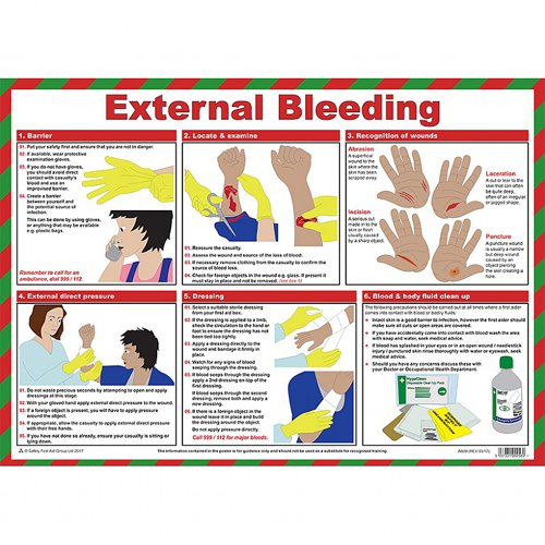 External Bleeding A2 Poster