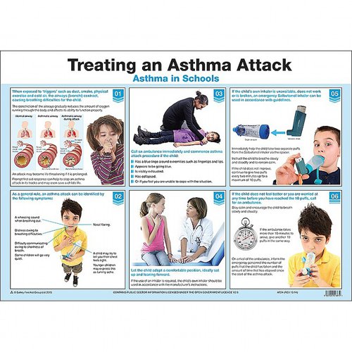 Asthma Advice A2 Poster