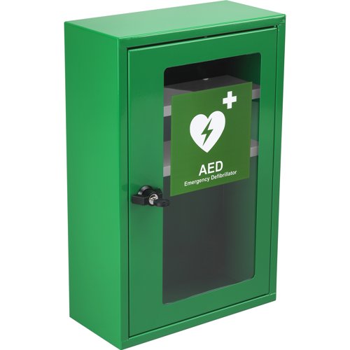HypaGuard Defib Wall Cabinet