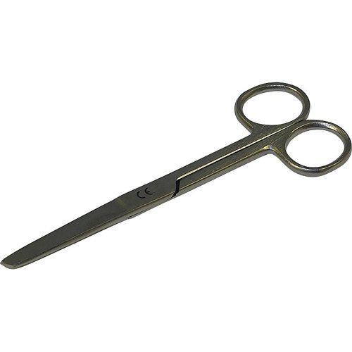 Scissors Blunt/Sharp 12.7cm Stainless Steel