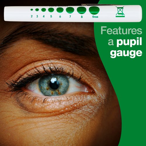 Pen torch Disposable 12cm