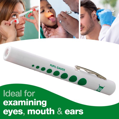 Pen torch Disposable 12cm