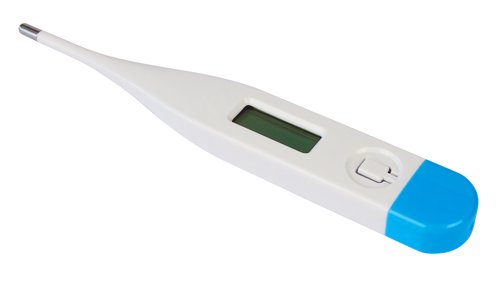 Digital Thermometer 124mm